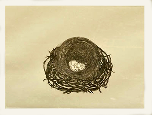 Untitiled - ETCHING  On Acid Proof Somerset Paper by Kajal Shah