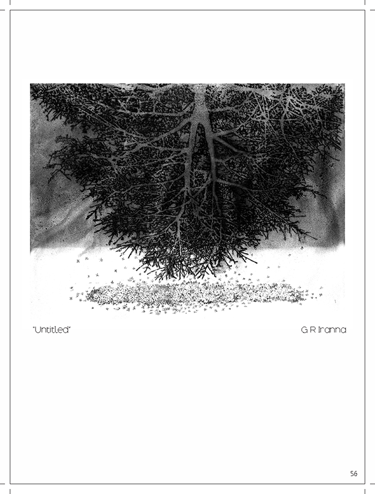 Untitled - Platography On Acid Proof Paper by GR Iranna