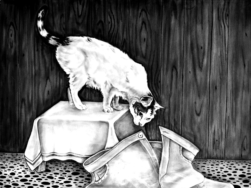 A Cat in Your Pants By Adarsh Baji.