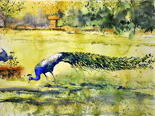 Peacock Landscape By Sangeeta Gada.